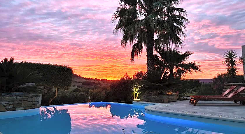 la cigale sous l'olivier