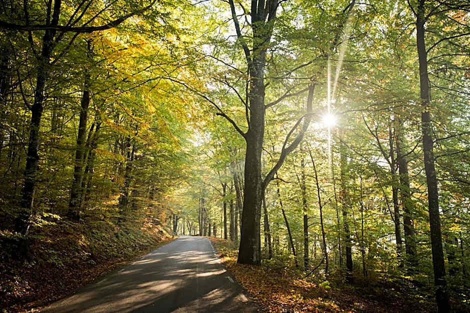 Åkulla Outdoor Resort