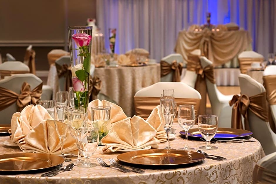 Holiday Inn Washington-Dulles International Airport By IHG