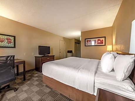 King Room with Bath Tub - Mobility/Hearing Accessible - Non-Smoking