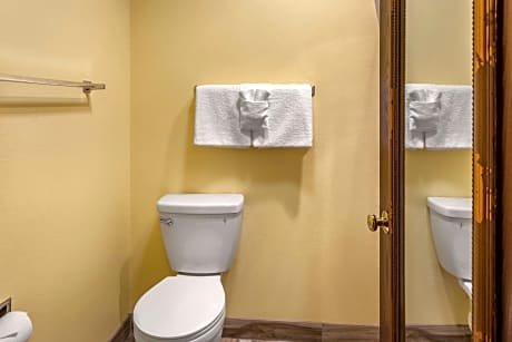 1 King Bed, Nonsmoking