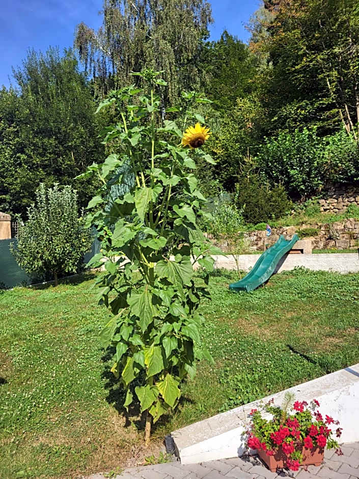 U kapličky, Boskovice