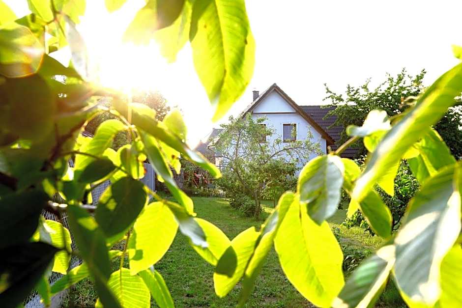 Domki Letniskowe Nad Morzem