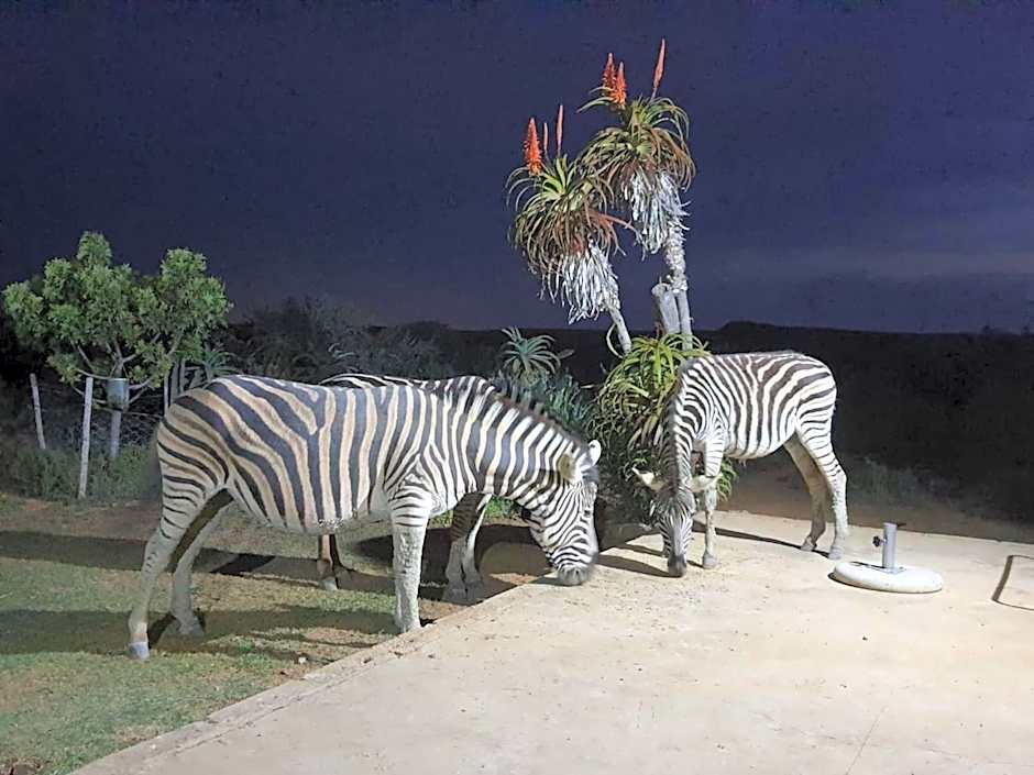 Kudu Ridge Game Lodge