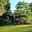 Hull River Guesthouse Mission Beach