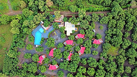 Amraness Luxury Resort Sasan Gir