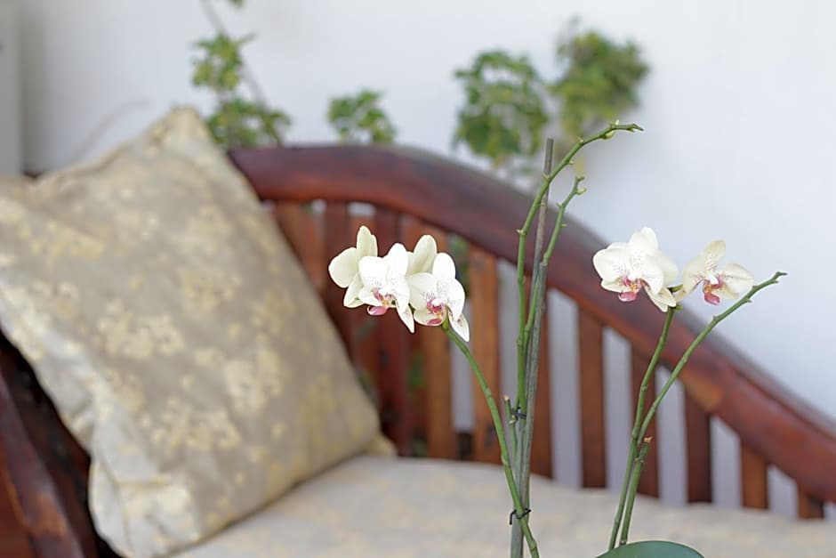 Boulevard Inn Mt Meru