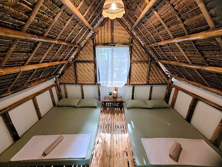 Lazy Lizard Hostel