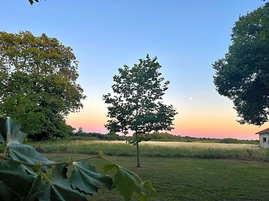 Château de Neyran chambre d'hôtes & Spa