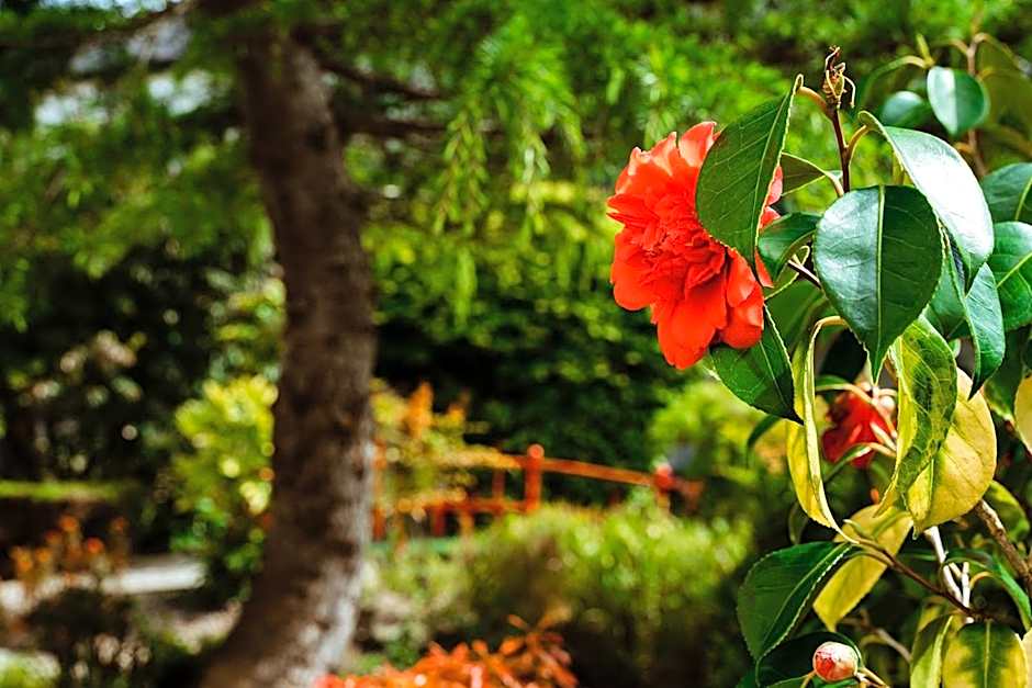 Roganstown Hotel & Country Club