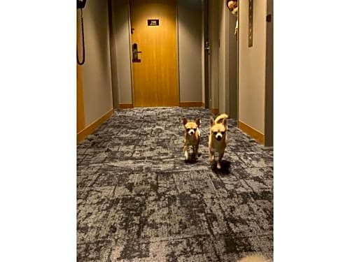 ICI HOTEL Asakusabashi - Vacation STAY 69315v