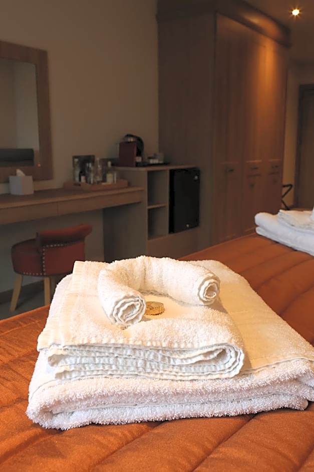 The Teifi Waterside Hotel