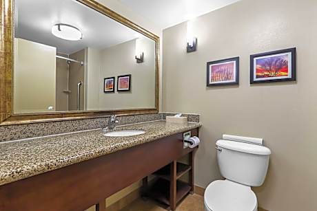 1 King Bed, Suite, Nonsmoking