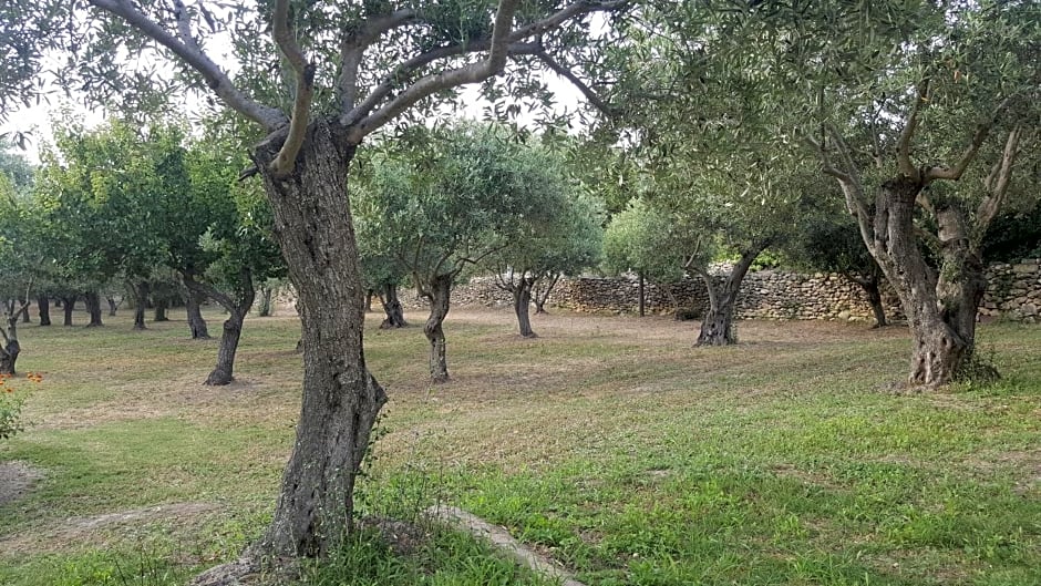 SERRA E MESU Affittacamere