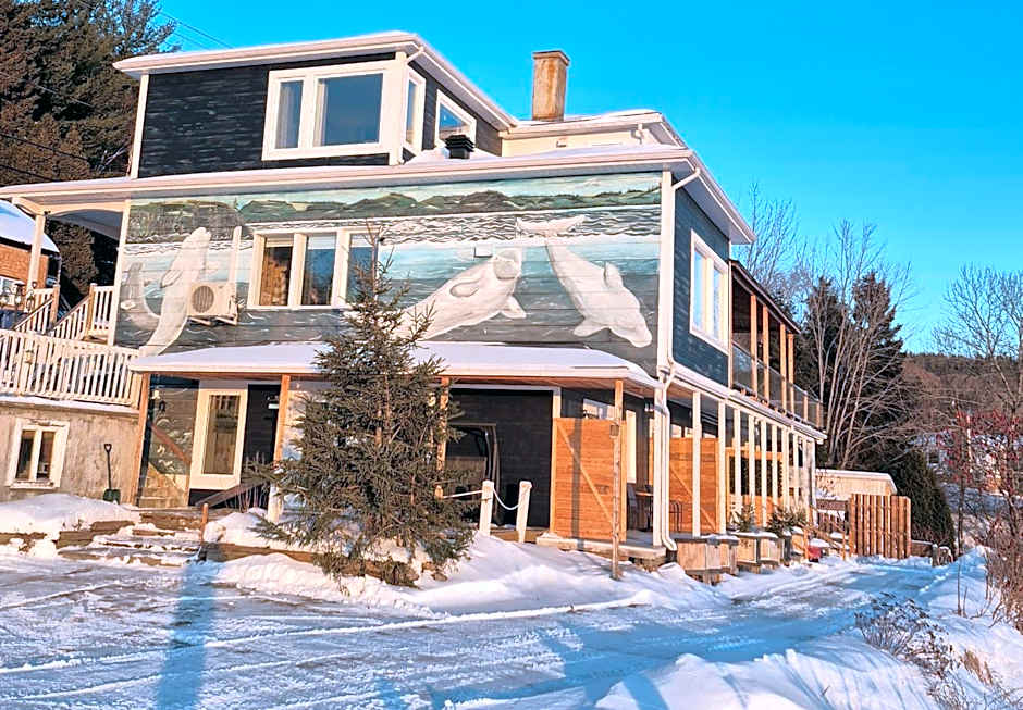 Séjour Flèche du fjord vue Saguenay Mont Valin
