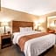 Quality Inn & Suites University Fort Collins