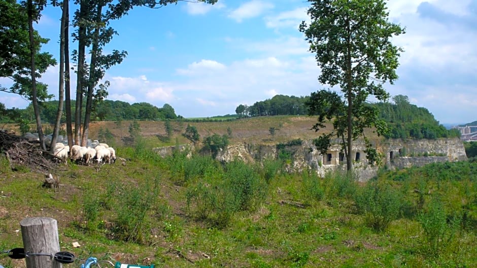Logis Pastis
