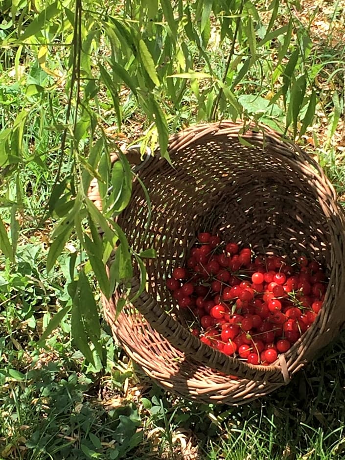 B&B Il moro selvatico