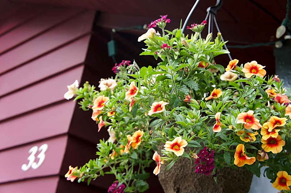 Fairmont Mountain Bungalows