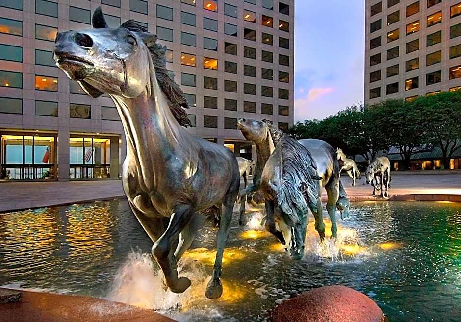 Hilton Garden Inn Dfw Airport South