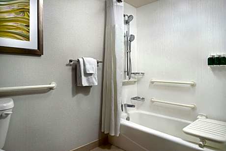 Room, 1 King Bed with Sofa bed (Hearing Accessible) (1 King Bed and 1 Double Sofa Bed)