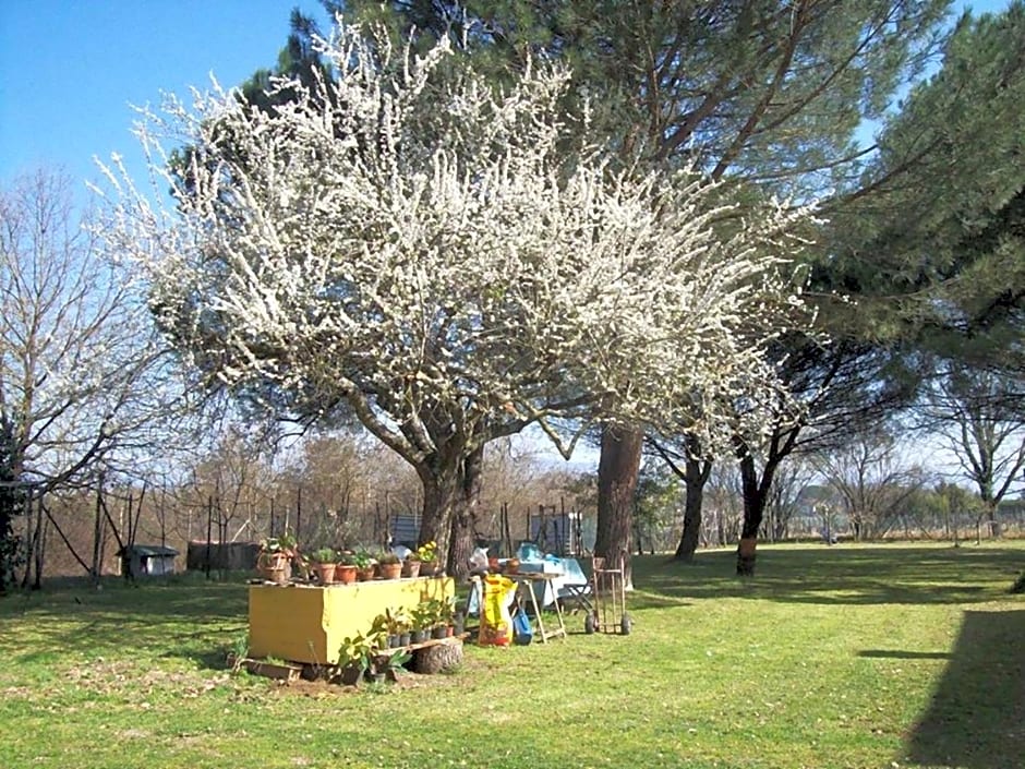 Campo alle Monache