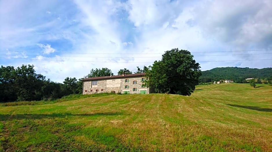Due Principi e una Fata