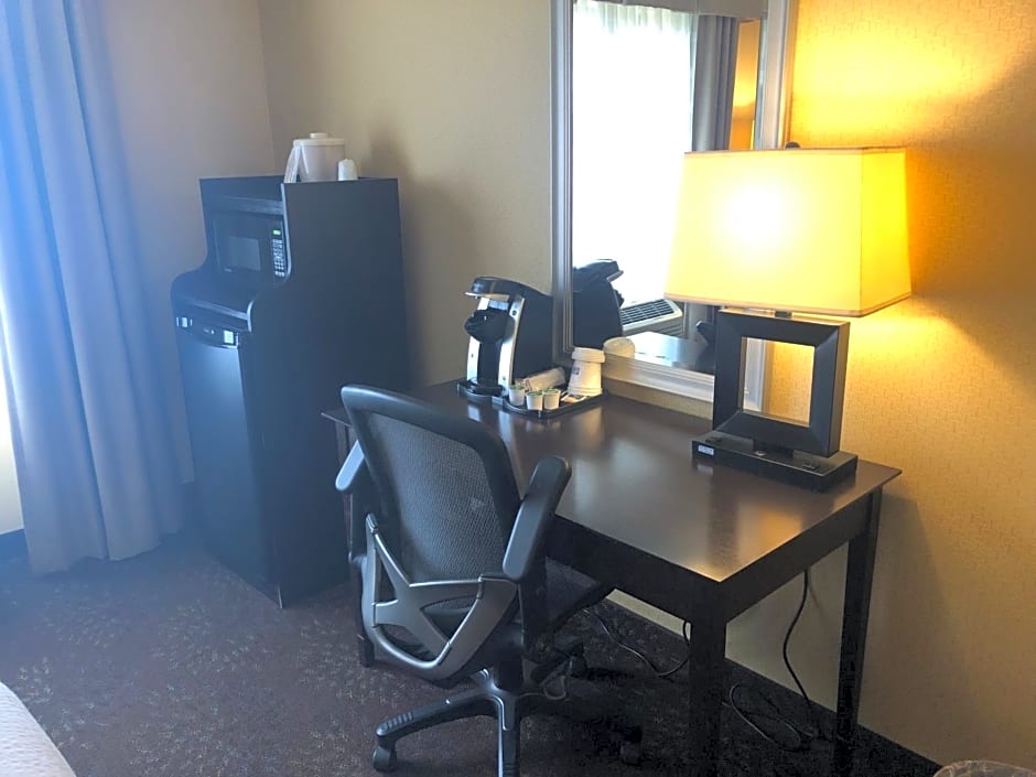 Holiday Inn Express Hotel & Suites Lansing-Dimondale