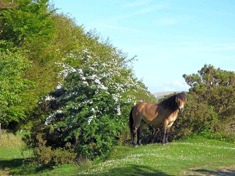 Highfield House, Parracombe, Modern B&B
