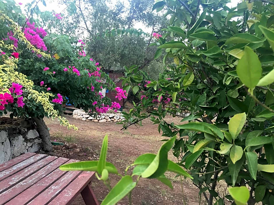 Bahar Bahce Datca