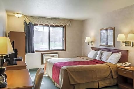 1 Queen Bed, Efficiency, Nonsmoking, Accessible
