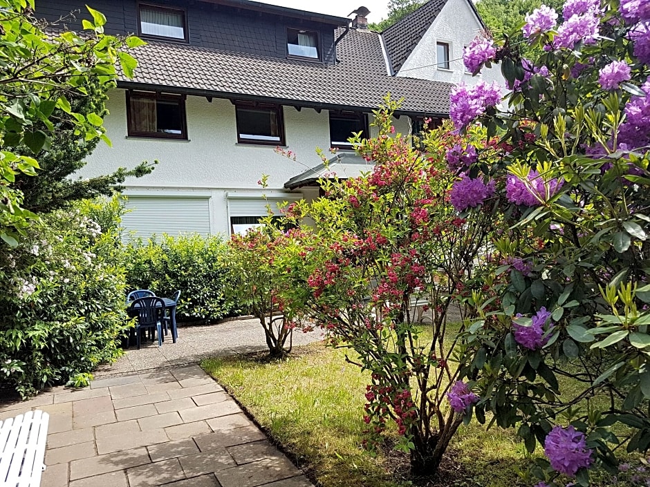 Siegerland-Hotel Köhler's Haus im Walde