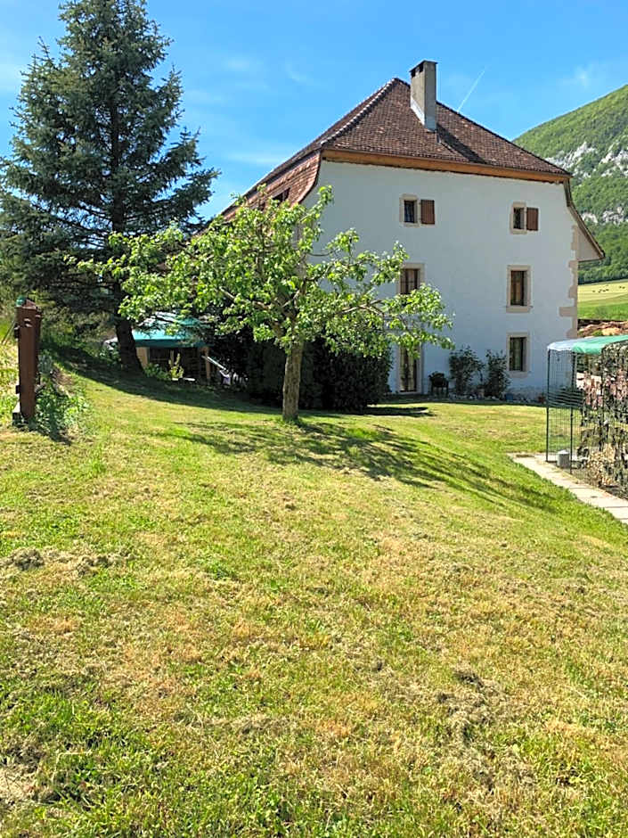 Chez Dodo 2534 Orvin Le Foncet