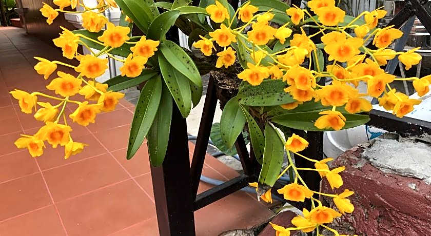 Merry Riverside Hotel