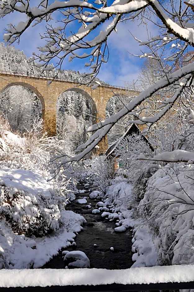 Hotel Hofgut Sternen - Ravennaschlucht