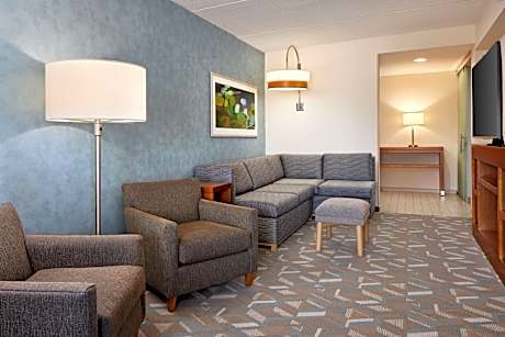 King Bed Specialty (with sofa bed)