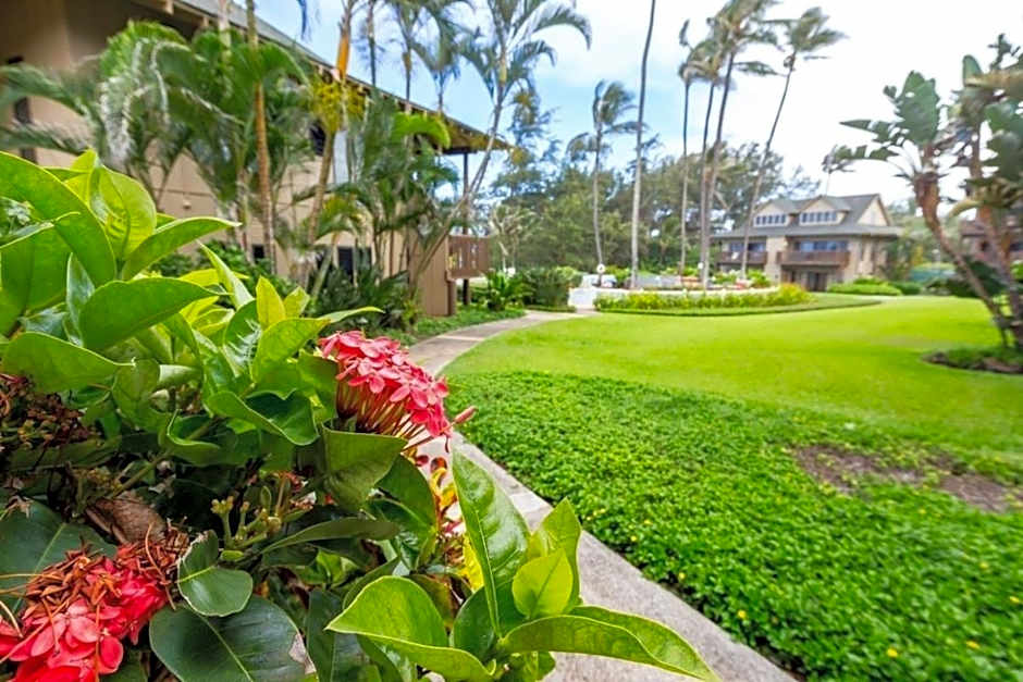 Kaha Lani 304