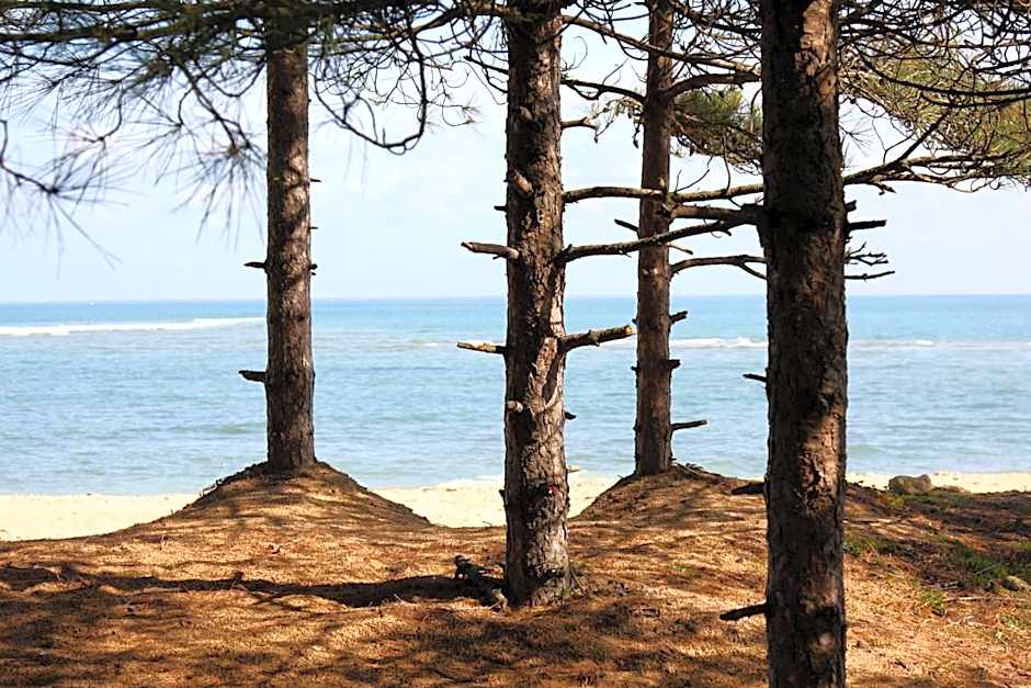 Hôtel Le Vieux Gréement