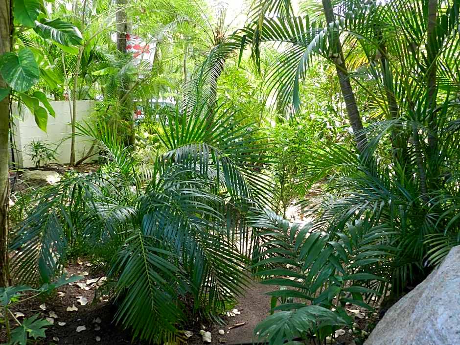 Oskar's Rain Forest Retreat