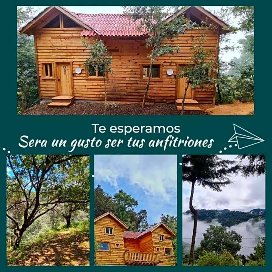 Mariposa - Cabañas Puerto del Zopilote