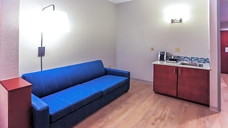 1 King Standard Sofa Bed