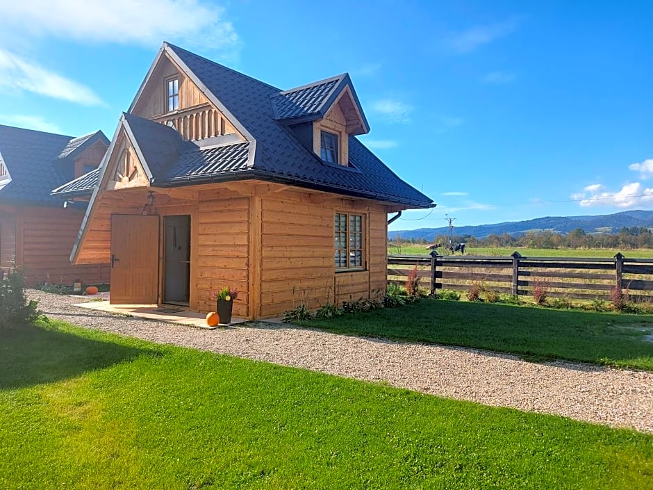 Domki nad jeziorem czorsztyńskim