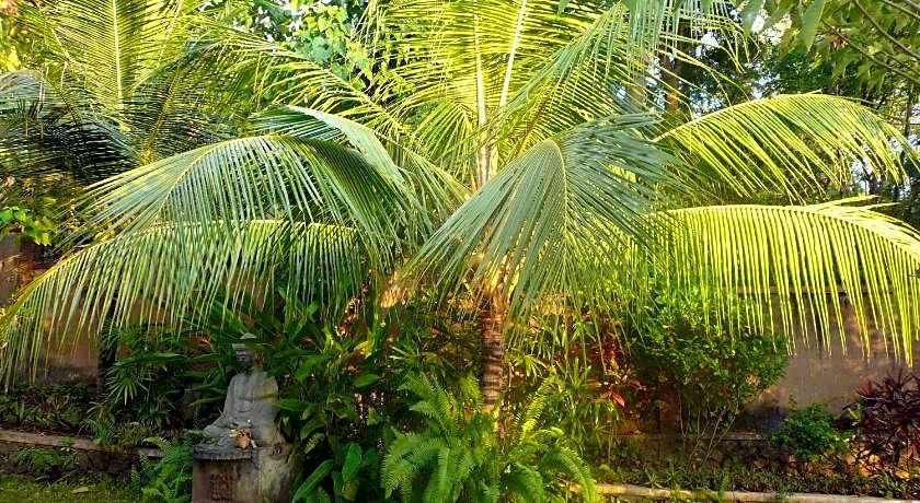 Sananda Bungalows