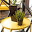 Garni House 46 Plus