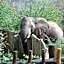 Muweti Bush Lodge