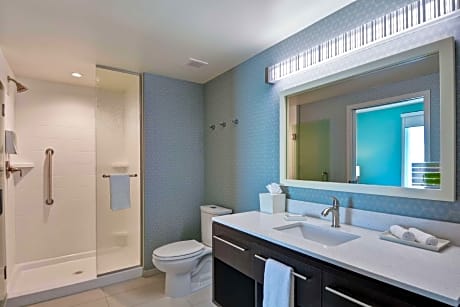1 King Bed Studio Suite Nonsmoking