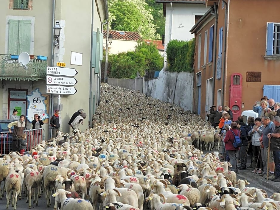 Du Coté de Lacoume