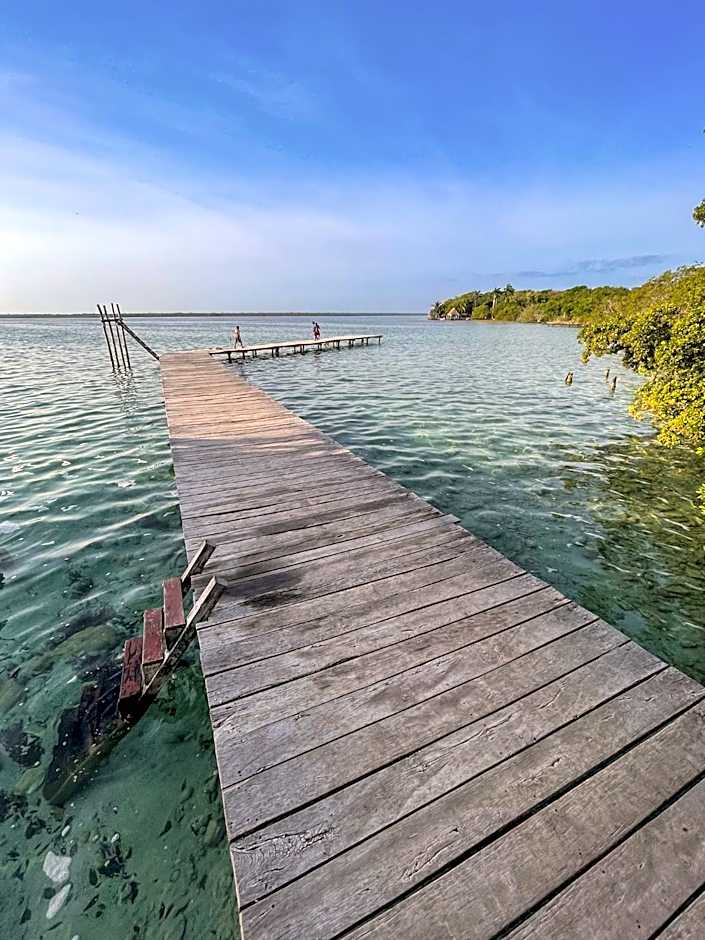 Bufo Alvarius Sanctuary Bacalar