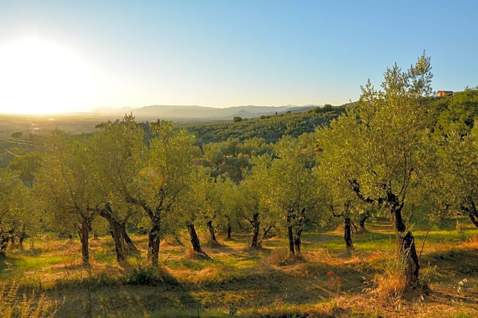Agriturismo Podere Rondinaio