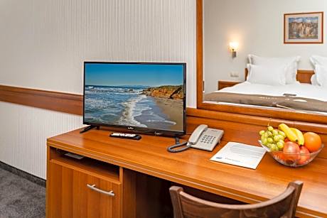 Standard Double Room with City View